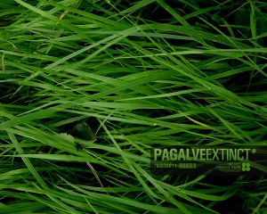 Pagalve – Docks (Live Version)
